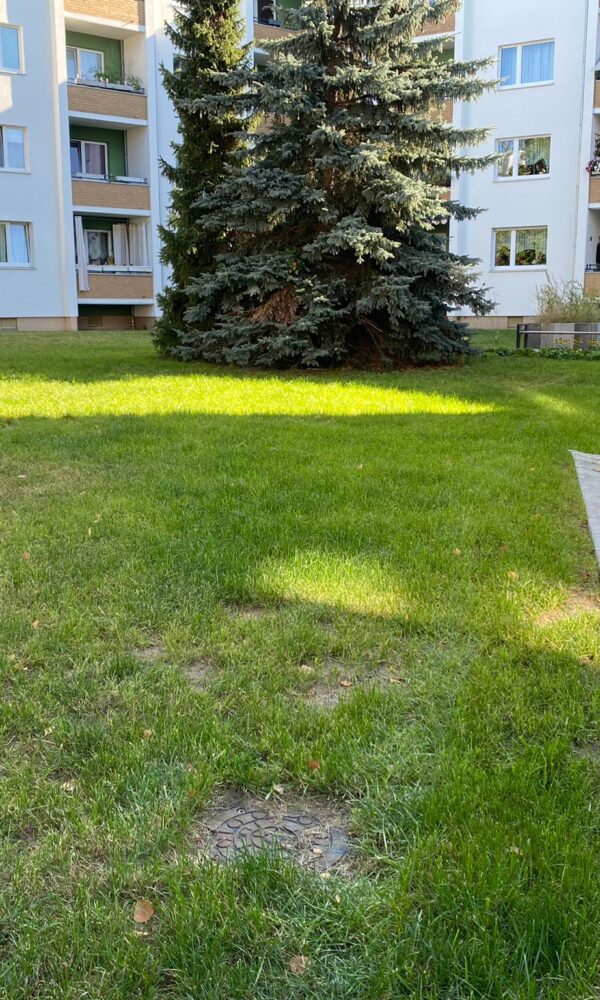 WhatsApp Image 2023 09 21 at 12 45 28